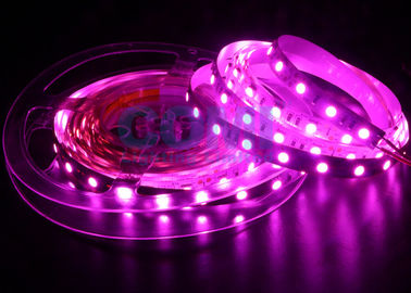 5050 شريط إضاءة LED لون وردي 25000 ك ، 12/24 فولت شرائط إضاءة LED 12 مم FPC