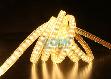 180-264V 2 صفوف نوع شريط إضاءة LED عالي الجهد مرن ضمان سنتان